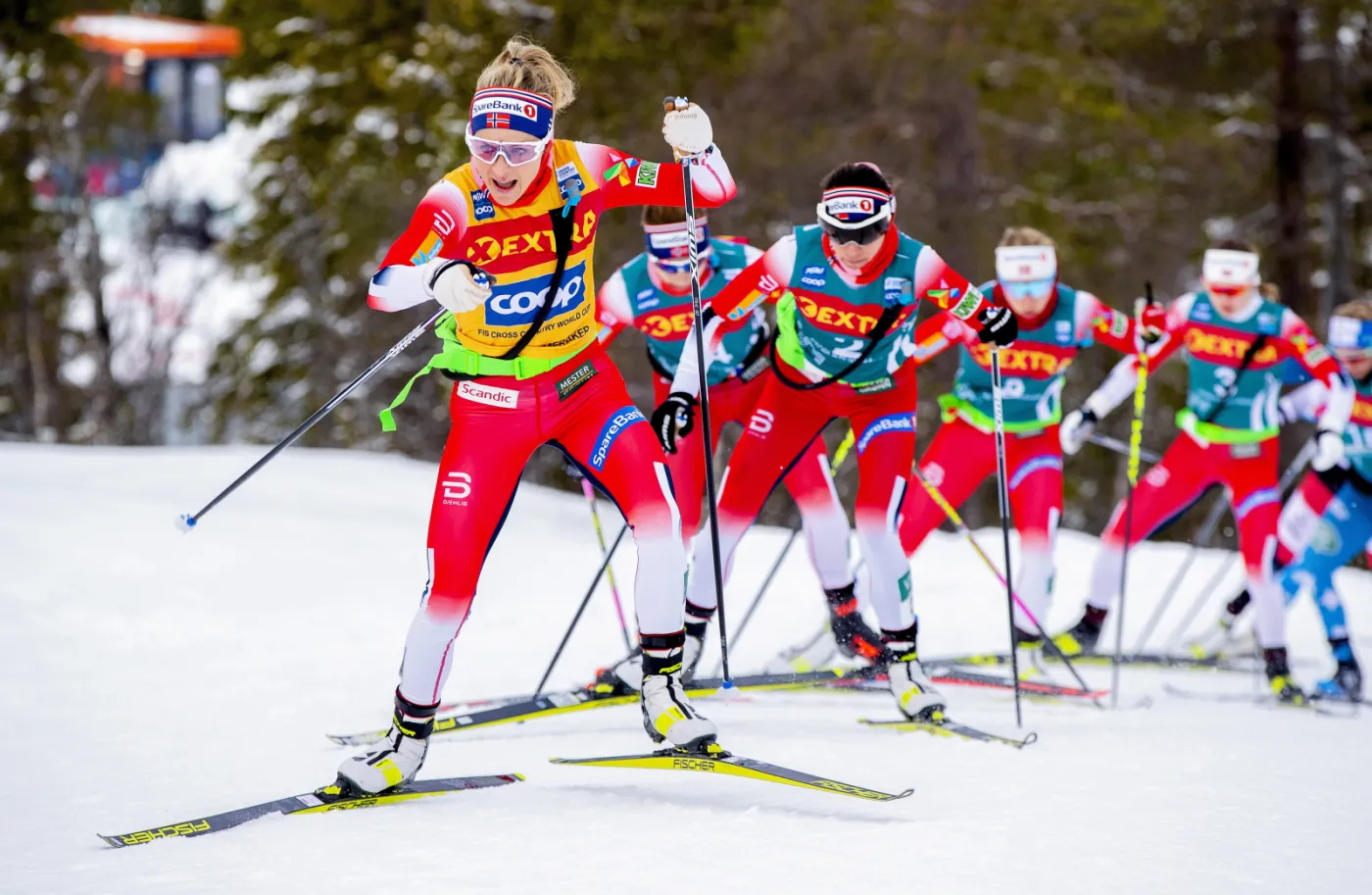 PŚ w biegach. Johaug niepokonana w Ski Tour