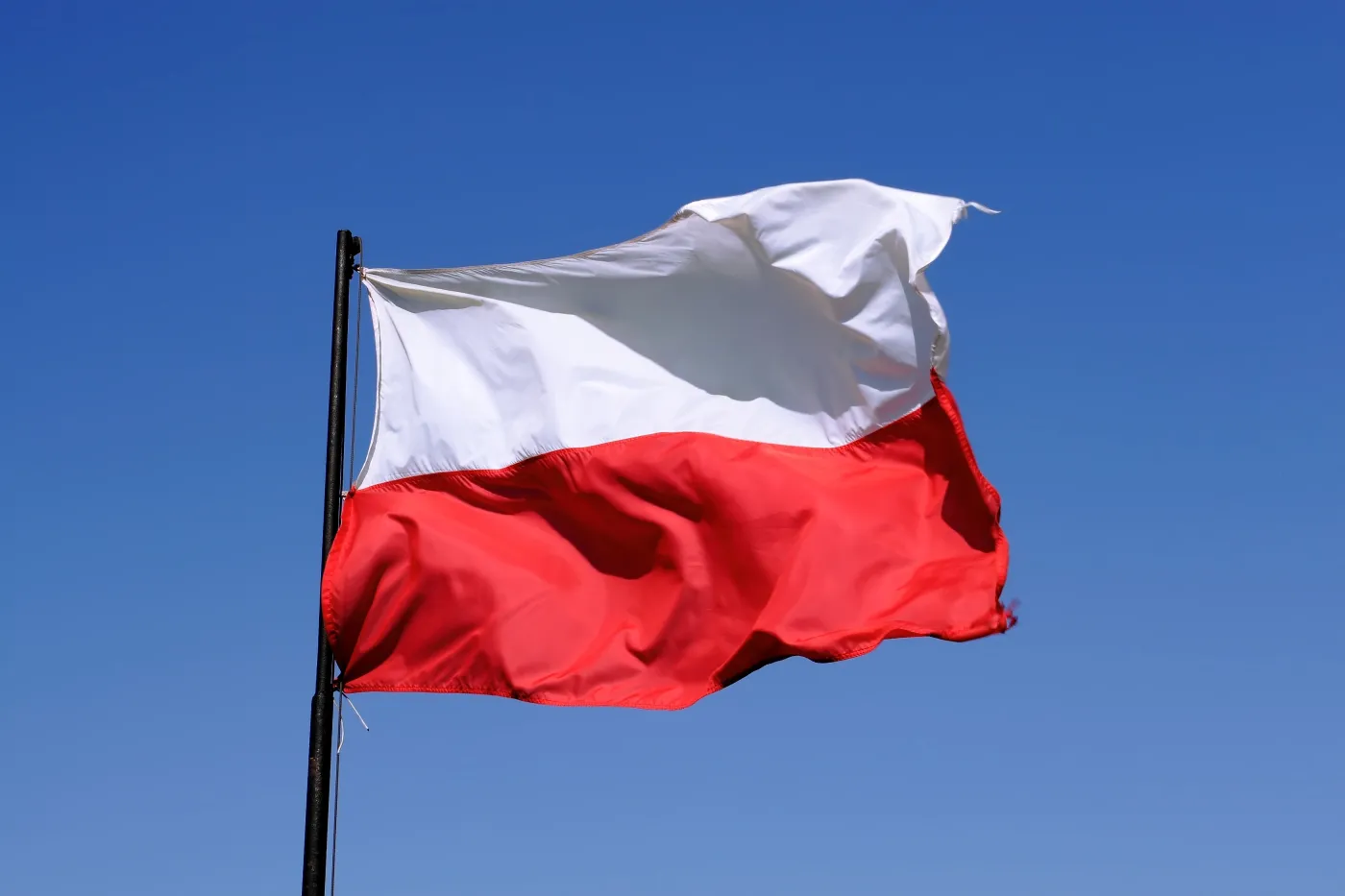 Polska flaga. Fot. Shutterstock. 