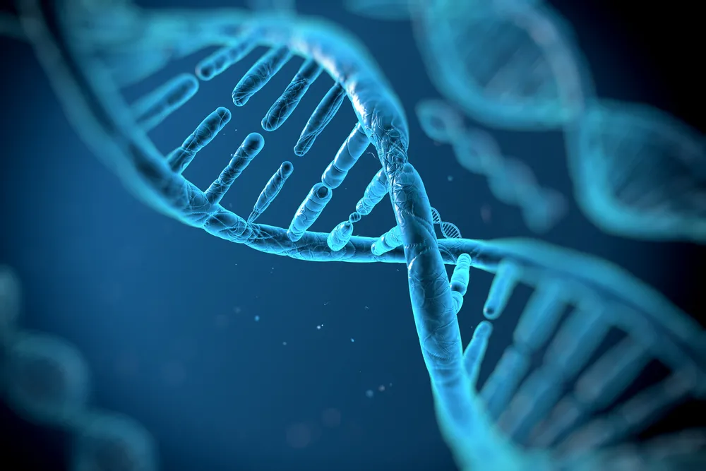 Dobrani według DNA. Aplikacja randkowa może położyć kres chorobom genetycznym