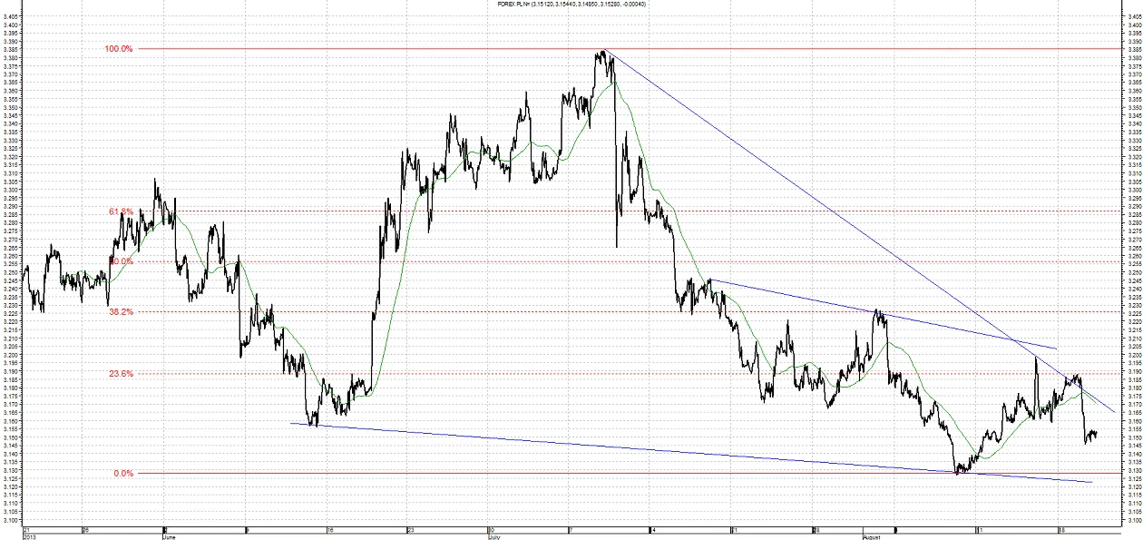 1449519-usd-pln-21-08.png