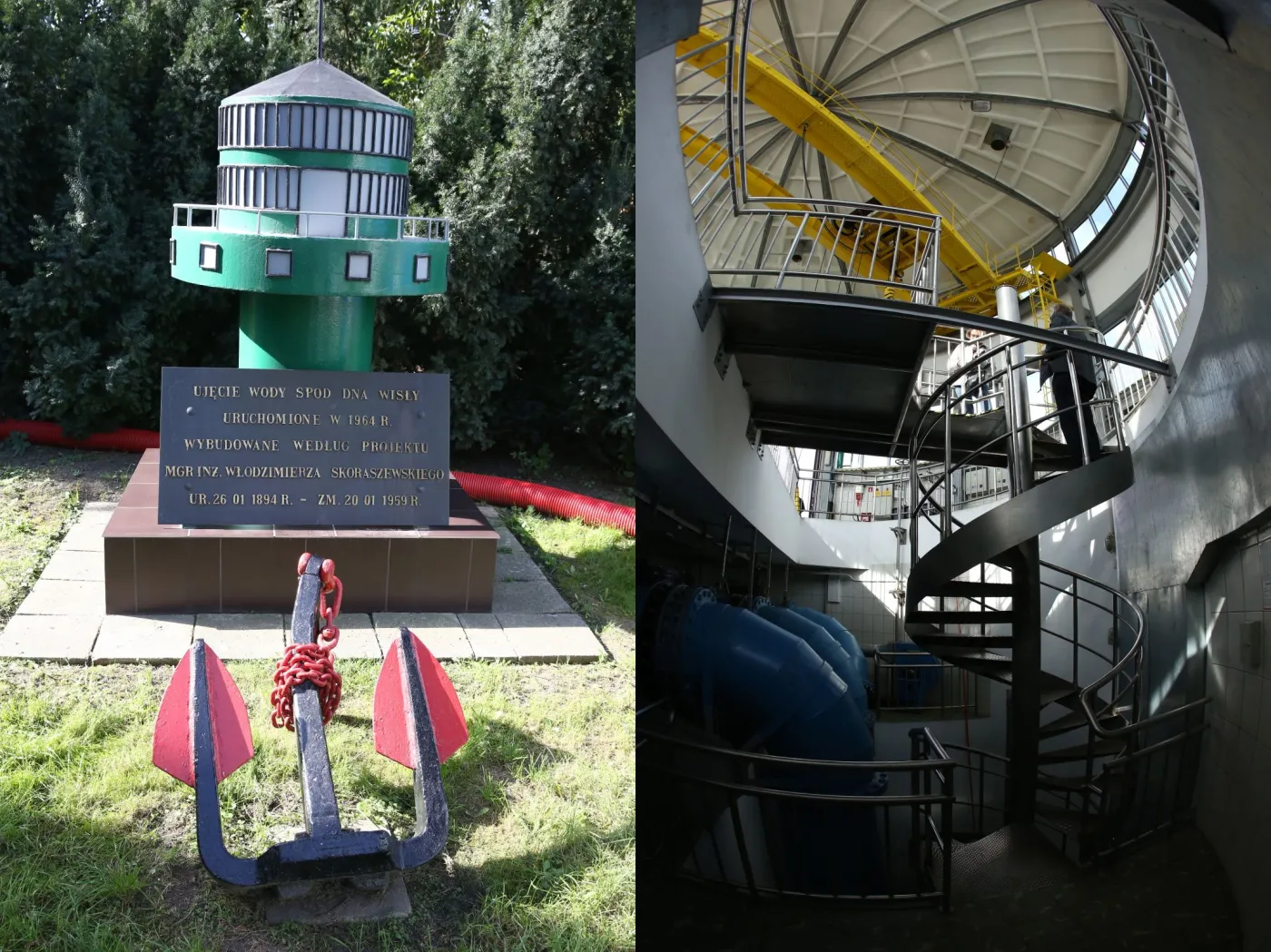1935383-gruba-kaska-50.jpg