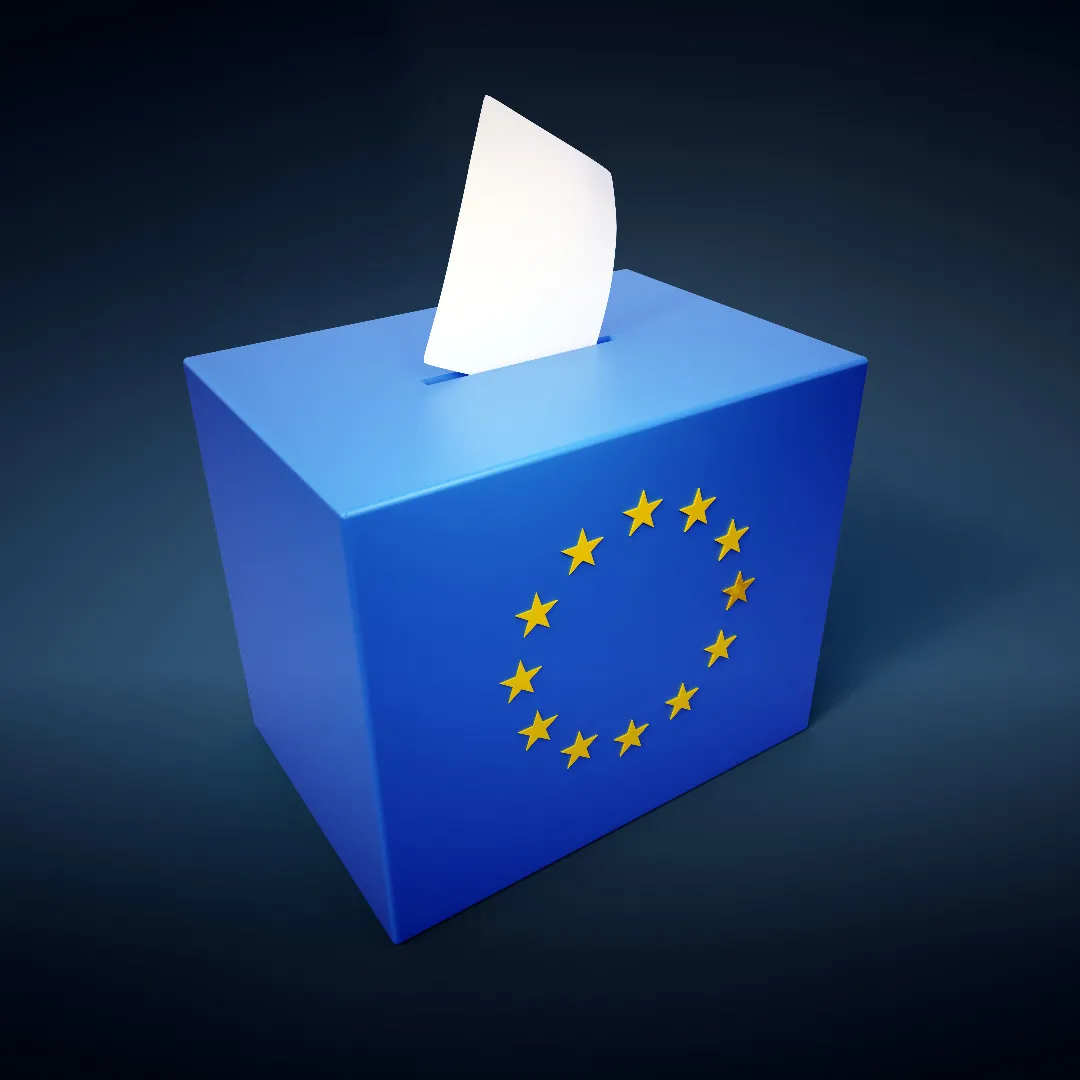 Wybory do europarlamentu. Jak głosować?