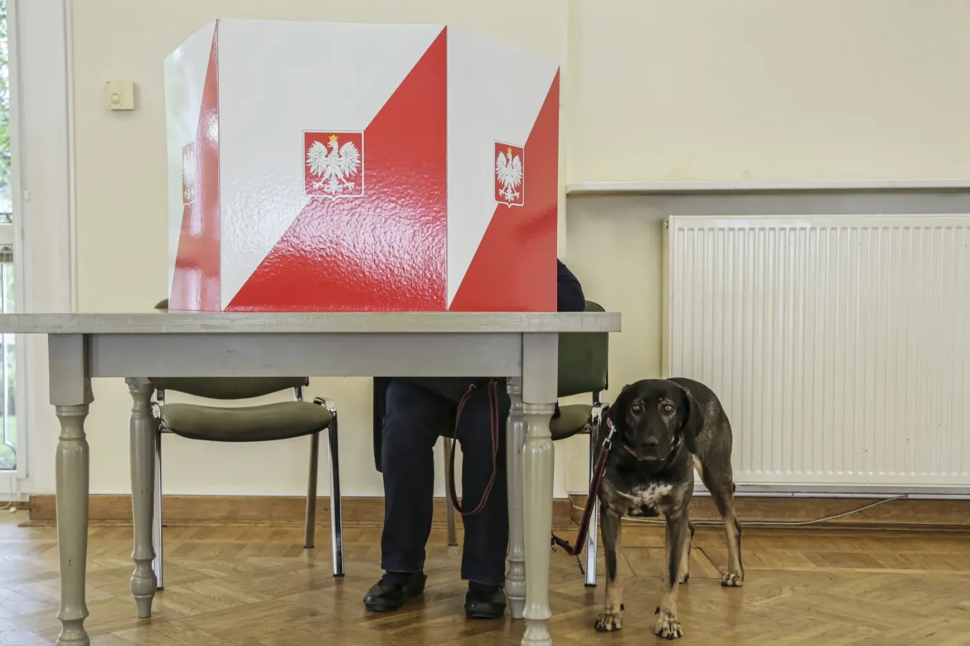 Populiści nie tak radykalni, ale wciąż wpływowi