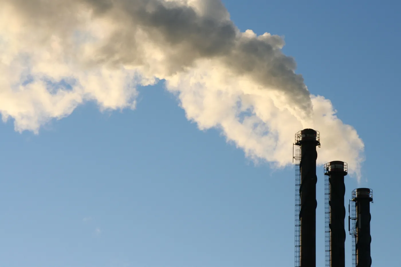 FDP: Realizacja unijnych celów klimatycznych byłaby samobójstwem przemysłu