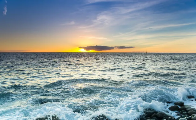 Poznajcie bakterię, która może zatrzymać podbój oceanów