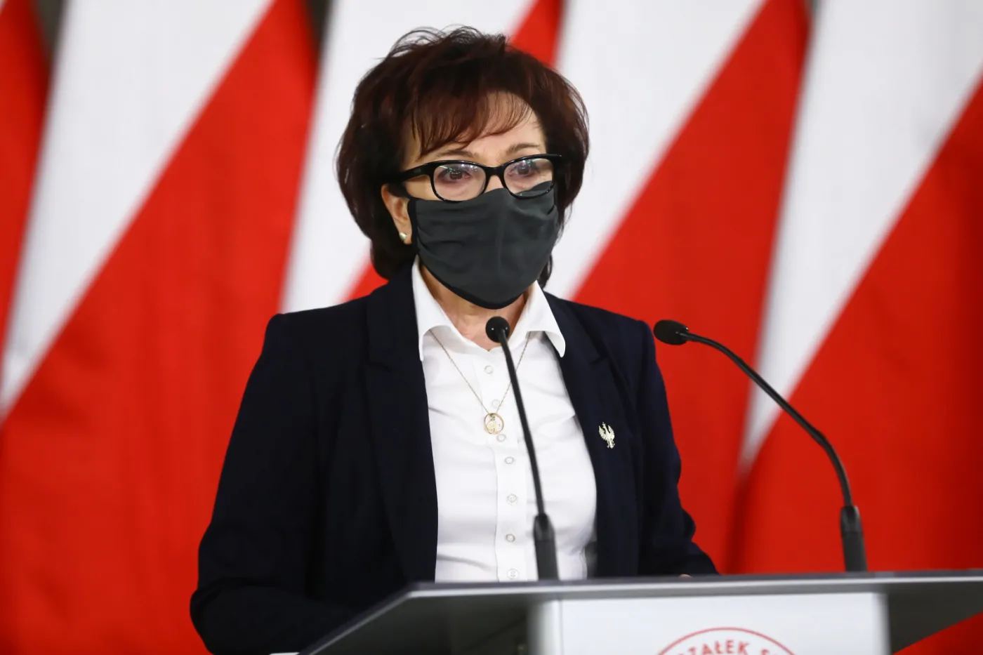 Witek: Nie ma terminu procedowania poprawek Senatu do "piątki dla zwierząt" oraz projektu prezydenta ws. aborcji
