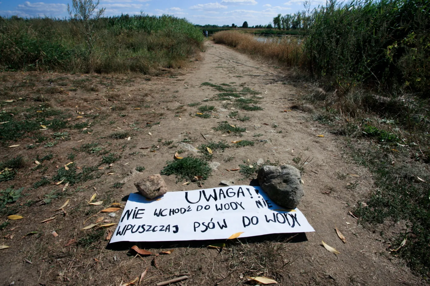 Śnięte ryby na rzece Ner. Zwołano sztab kryzysowy
