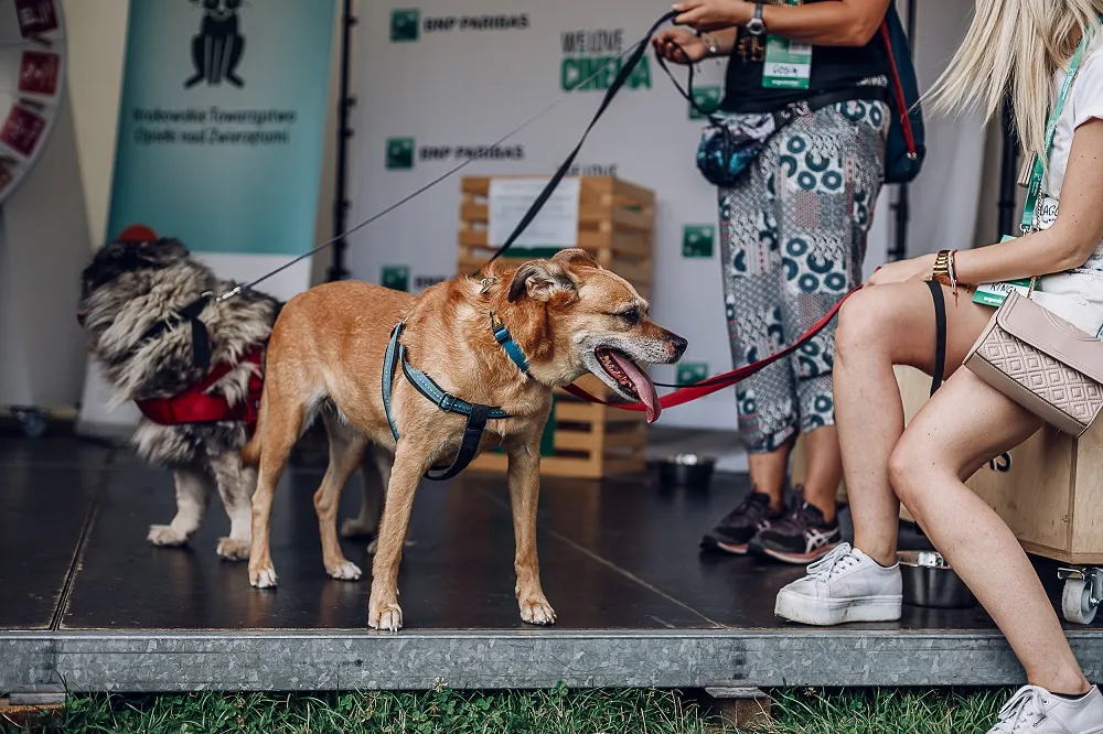 Green Film Festival