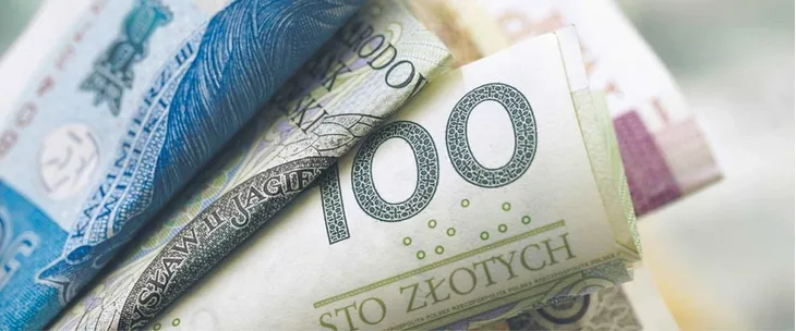 Dopłaty roczne już na kontach uczestników PPK. Ile wynoszą?