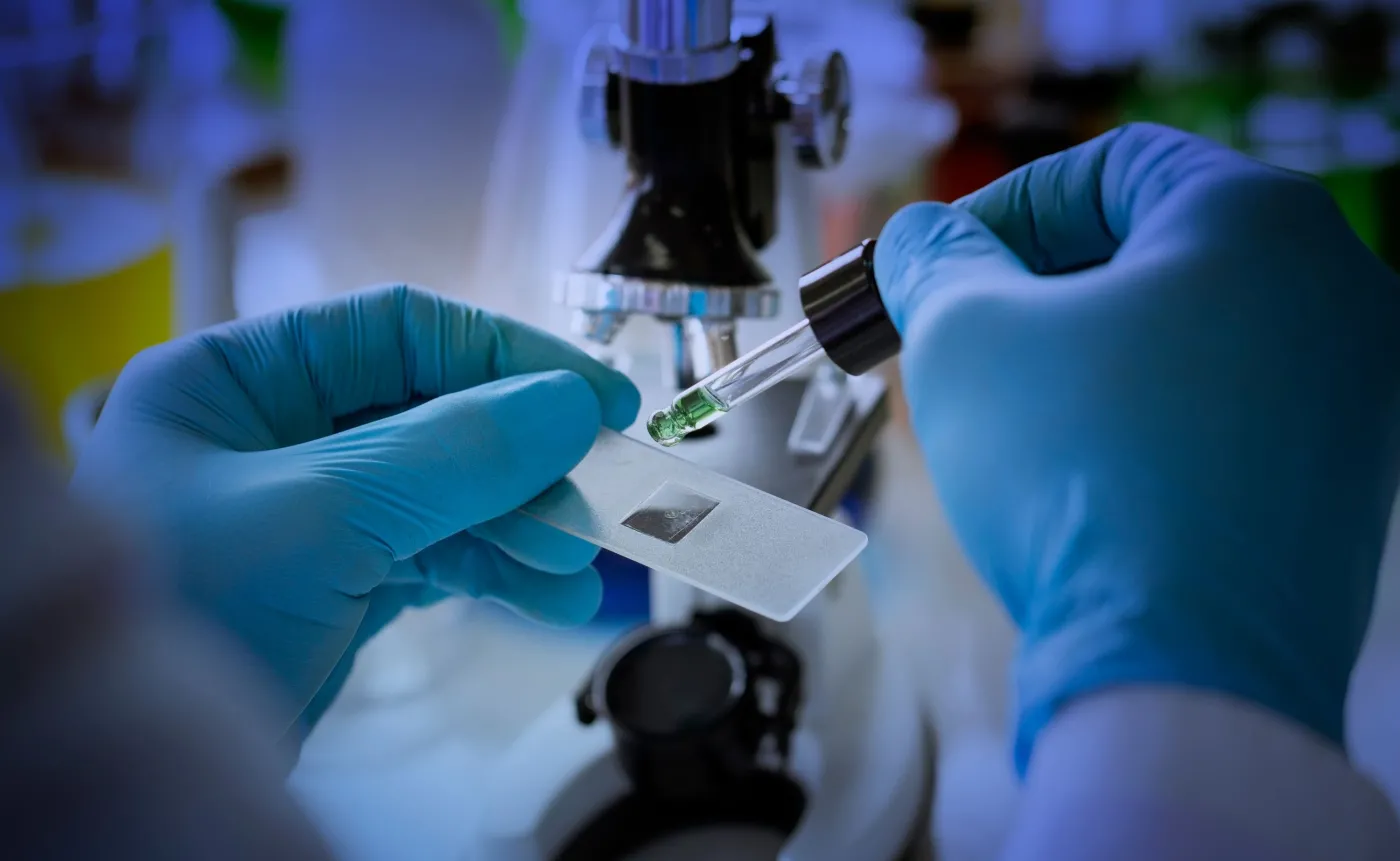 Składnik lukrecji neutralizuje SARS-CoV-2 w warunkach laboratoryjnych