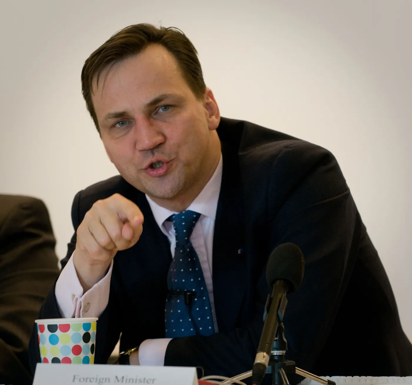 Sikorski upomina się o polską telewizję w pokojach hotelowych w Niemczech