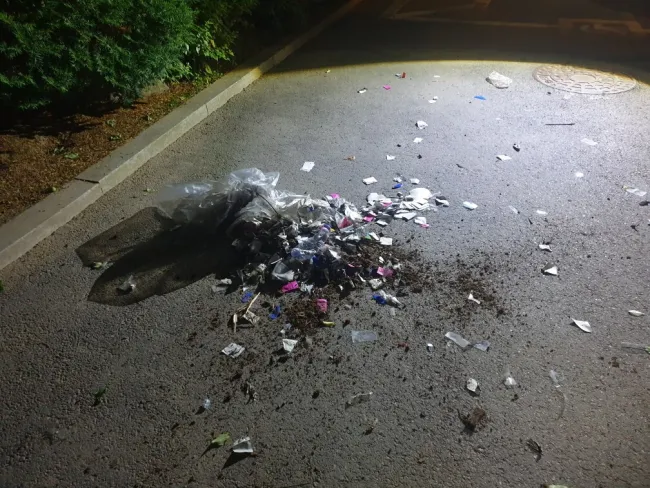 'Garbage' balloons presumably sent by North Korea land in South Korea