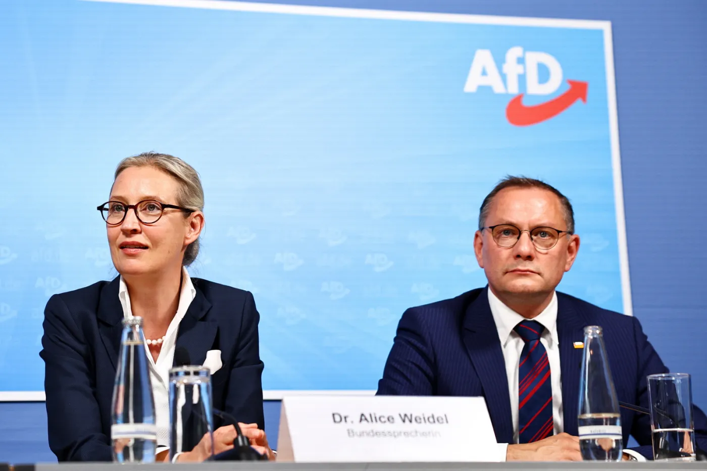 Wybory do PE 2024. Najmłodsi Niemcy poparli skrajnie prawicową partię AfD