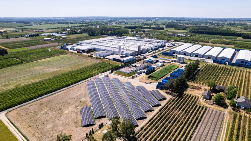 Jak firmy w Polsce przechodzą na odnawialne źródła energii