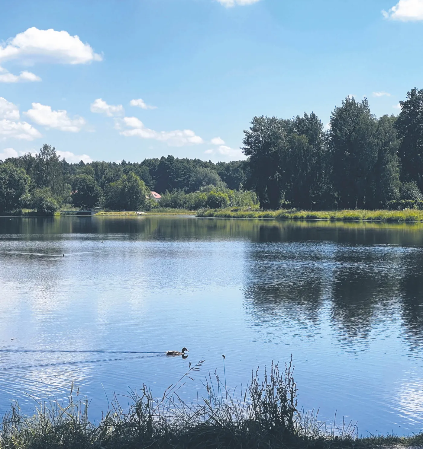 Zielone pierścienie miast: szansa na dobre życie dla mieszkańców