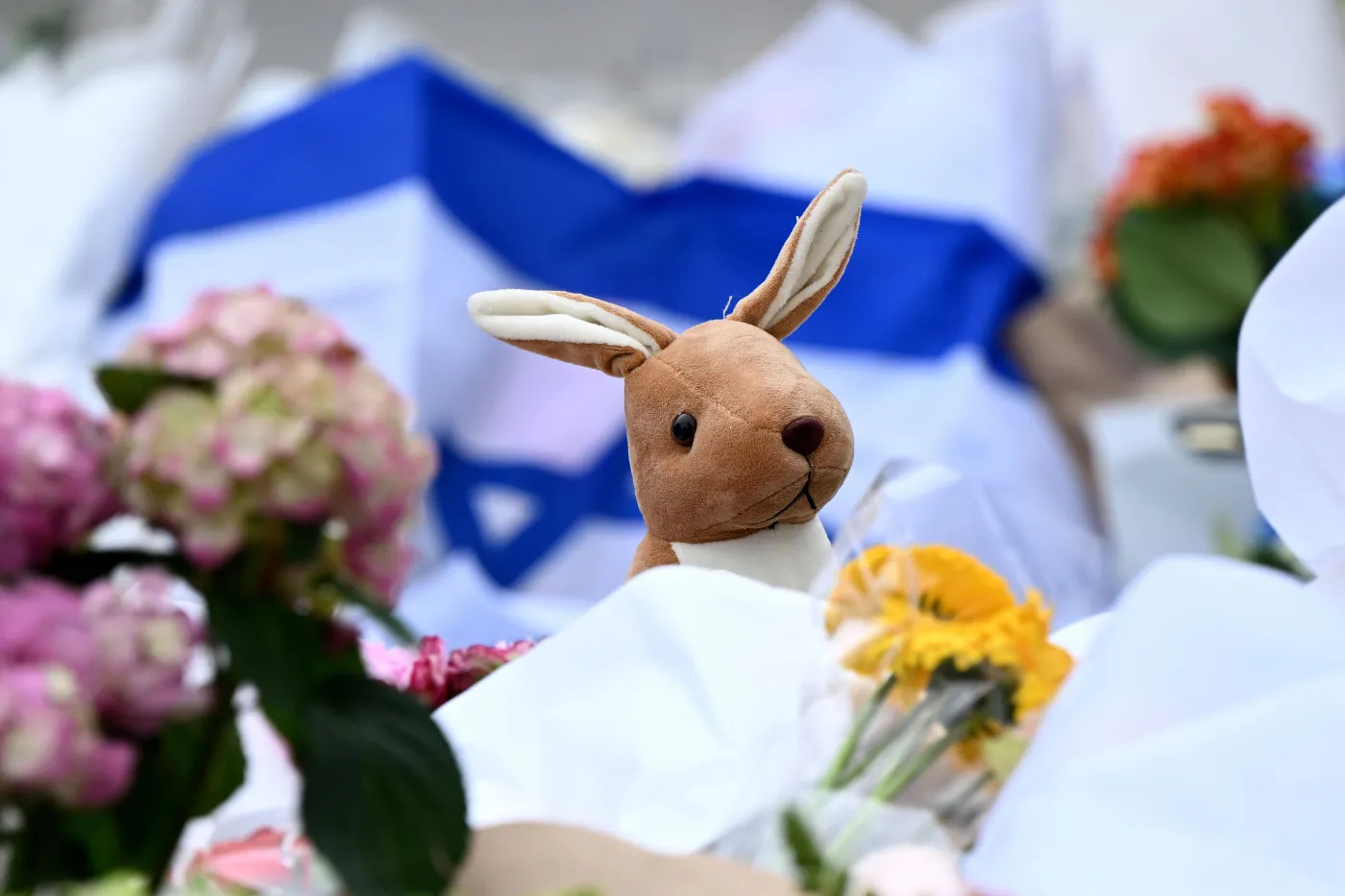 Po zamachu terrorystycznym na plaży Bondi w Sydney: rząd proponuje zaostrzenie przepisów dotyczących broni