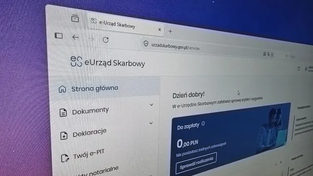 Podatnik może już udostępnić dane w e-US innej osobie, np. księgowemu