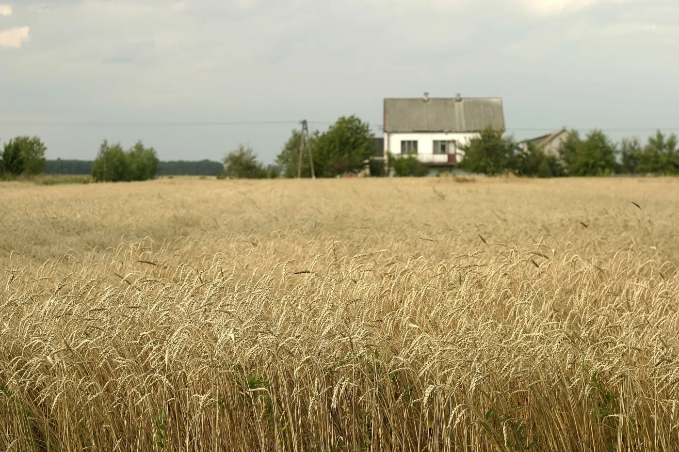 Od 2014 r. nowy system pomocy dla gospodarstw rolnych z utrudnieniami naturalnymi