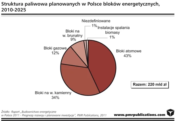 struktura paliwowa bloków energetycznych planowanych w Polsce