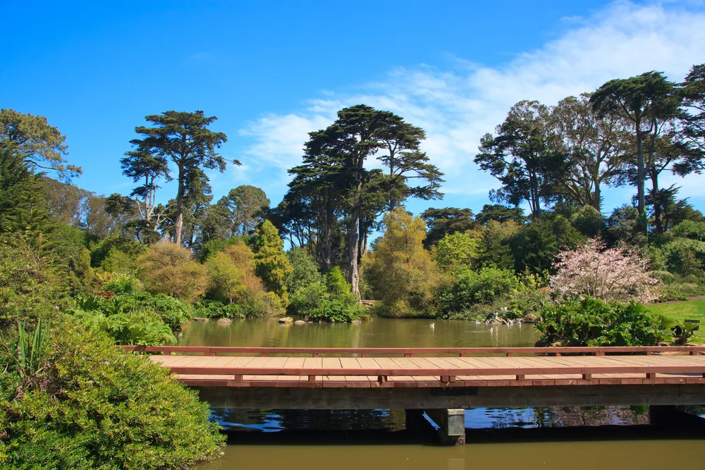 997773-golden-gate-park.jpg