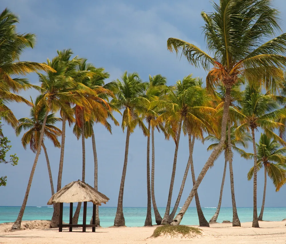 1105374-plaza-punta-cana.jpg