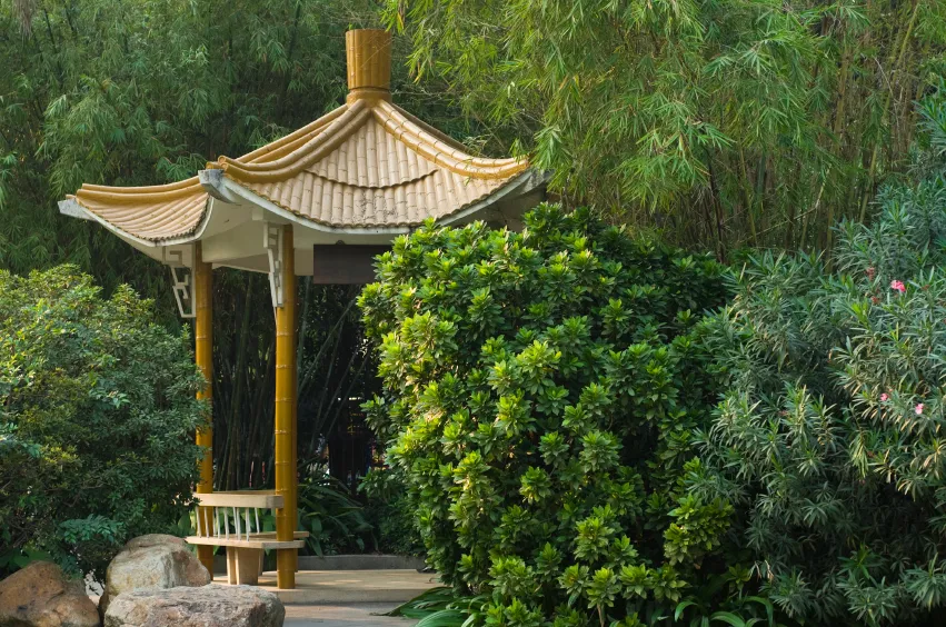 1240796-oark-yuexiu-istock.jpg