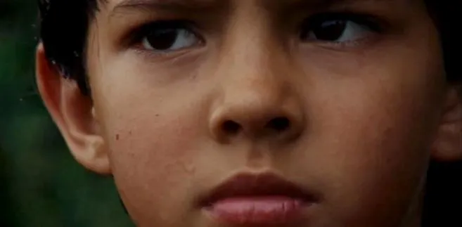 "Argentyńska lekcja" - polski film nagrodzony w Wiedniu