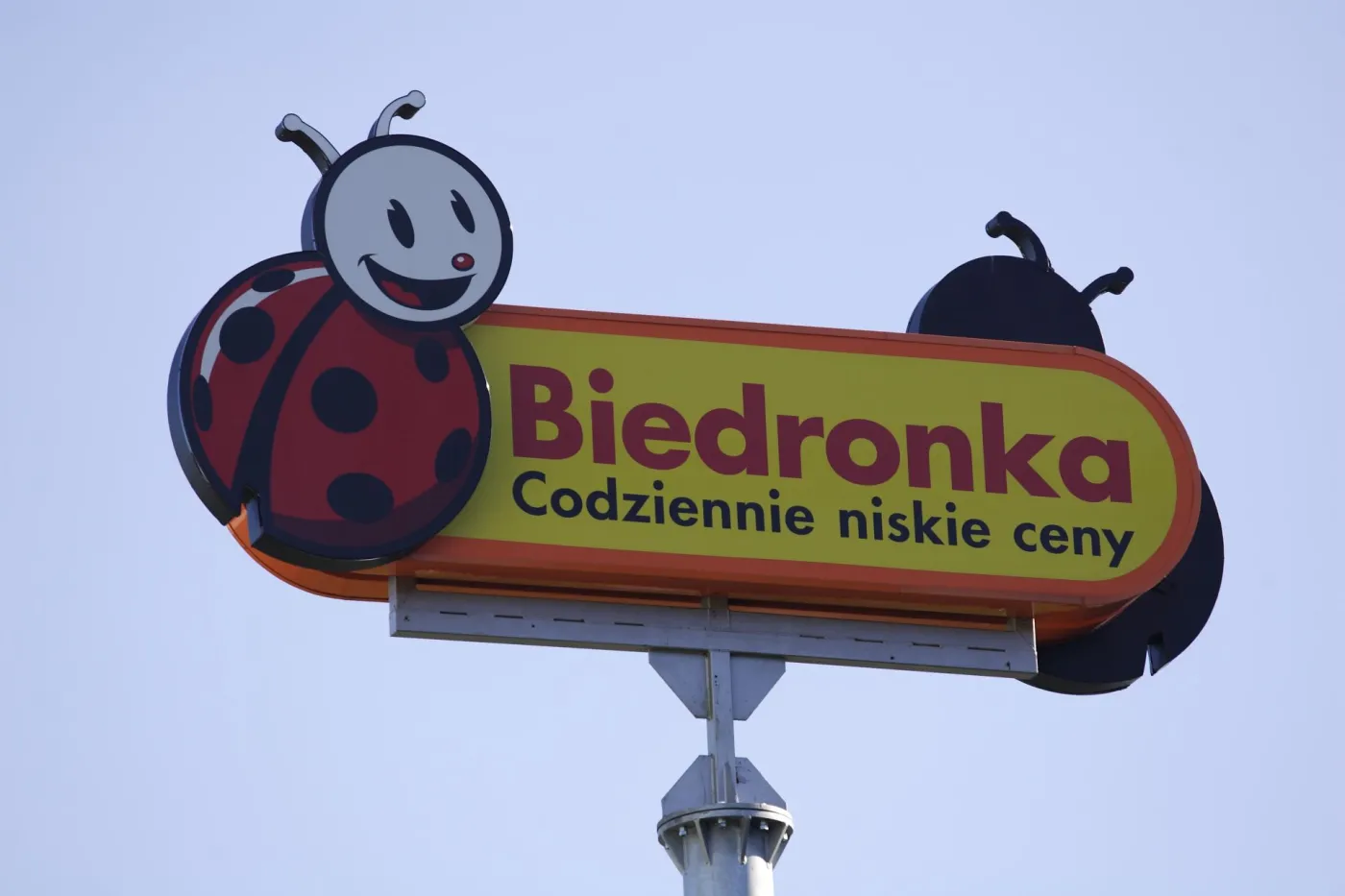 Biedronka rośnie w siłę