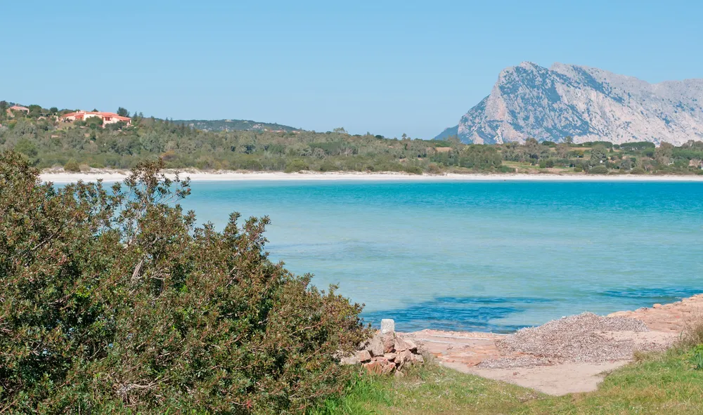 1311514-cala-brandinchi.jpg