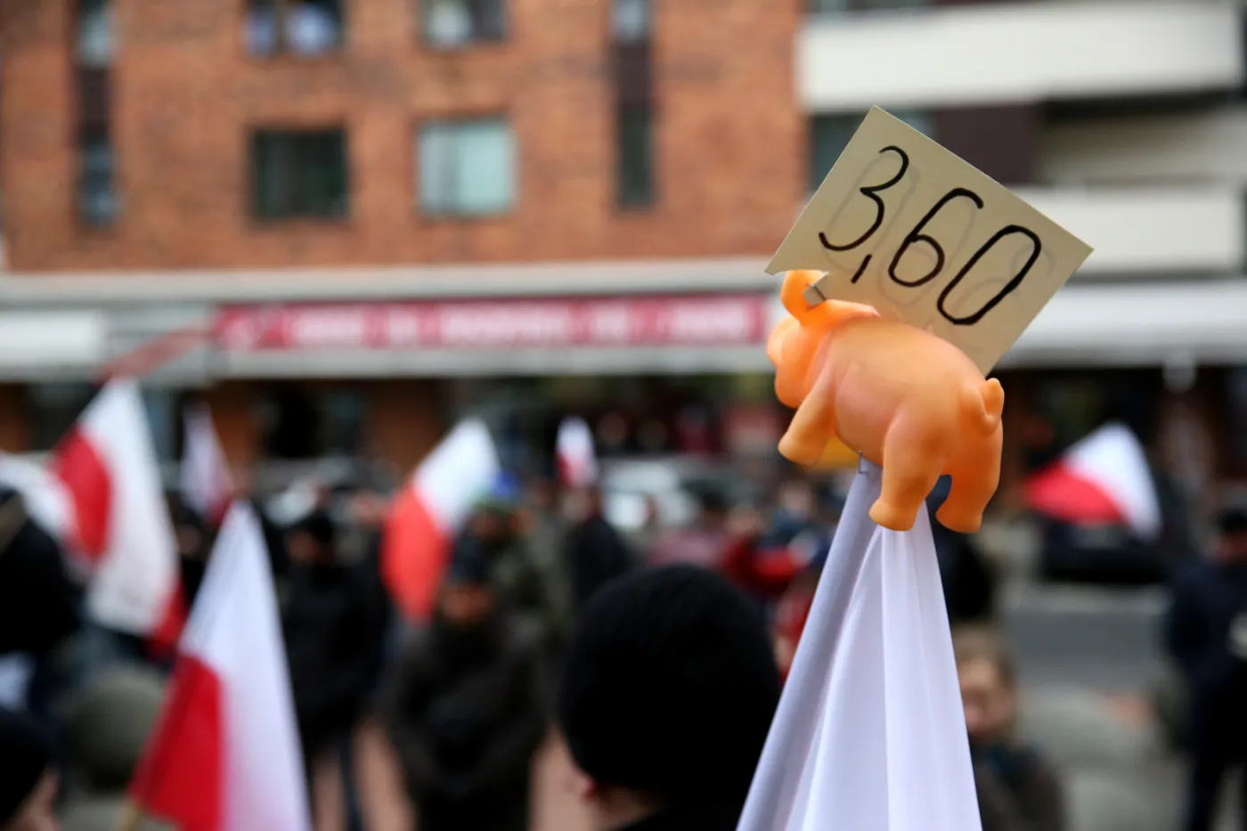 2077605-protest-rolnikow.jpg