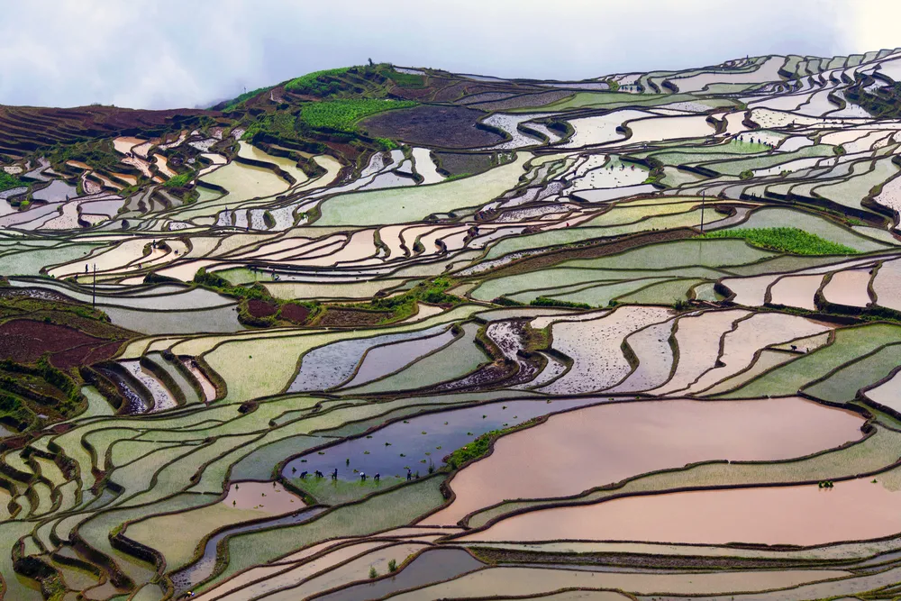 2106990-yuanyang-county.jpg