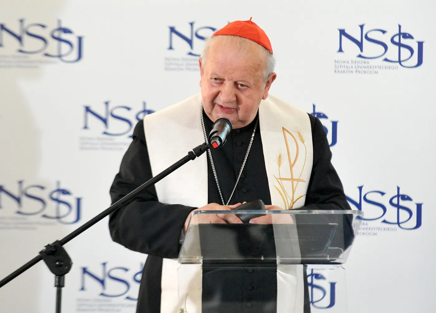 kardynał Dziwisz