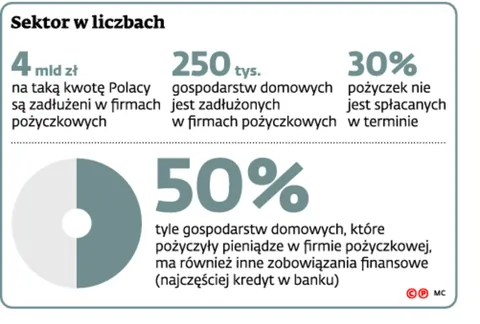 2231904-sektor-w-liczbach.jpg