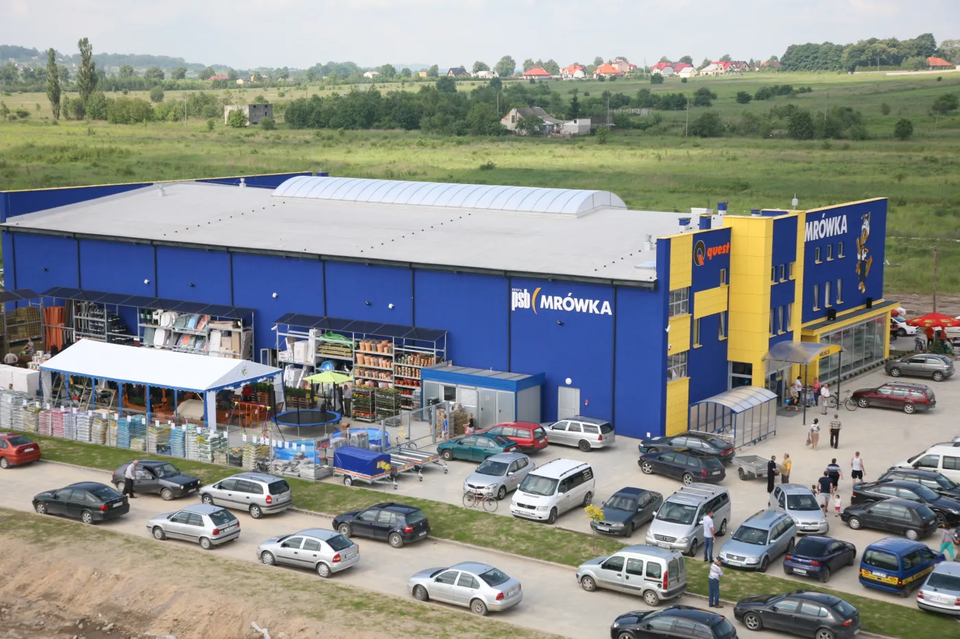 2324079-mrowka-piekoszow.jpg