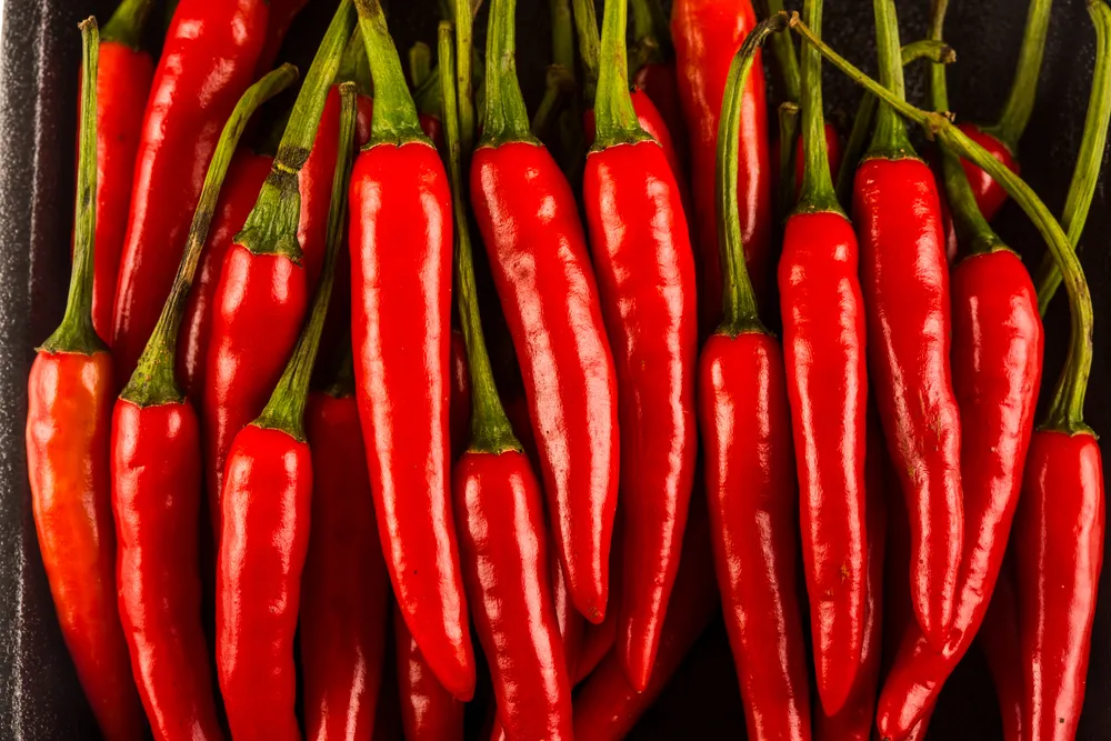 Prapryka chilli