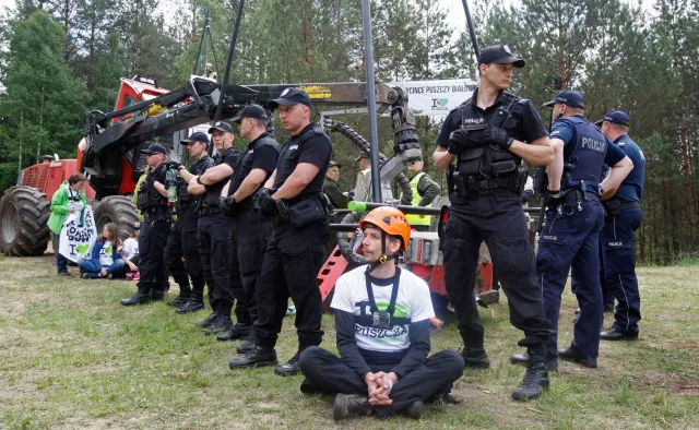 Wołający na puszczy. Białowieskiej