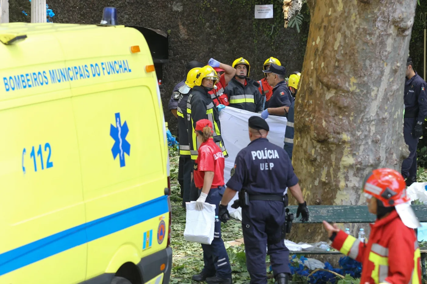 Portugalia: Drzewo przygniotło ludzi na Maderze. 11 zabitych