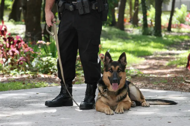 Policja w służbie bożka statystyki