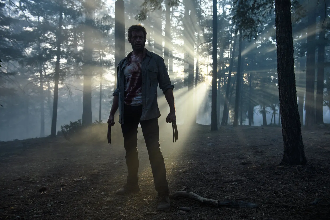 2846063-logan-wolverine.jpg