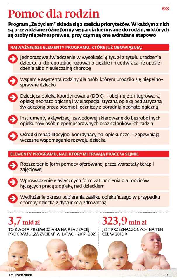 3268271-pomoc-dla-rodzin.jpg