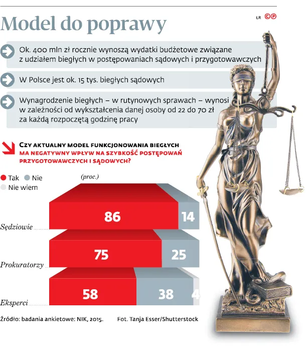 3317950-model-do-poprawy.jpg
