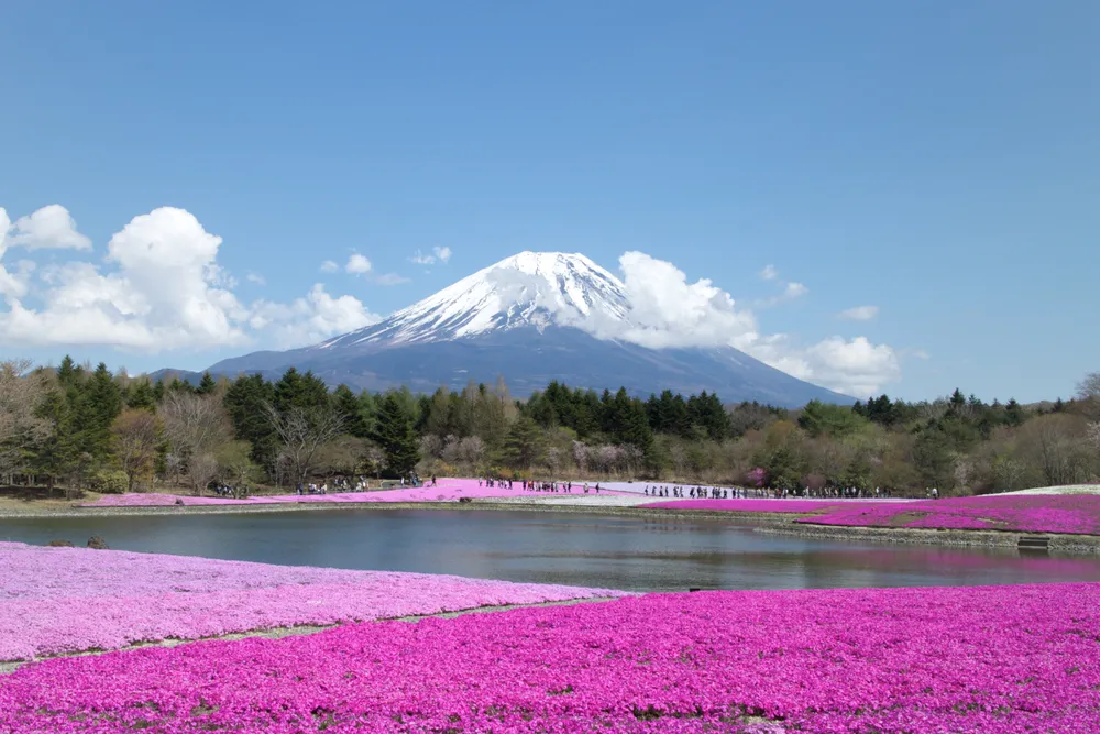 2106942-mount-fuji-japonia.jpg
