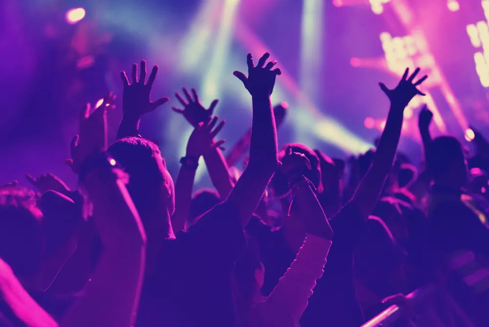 koncert, festiwal