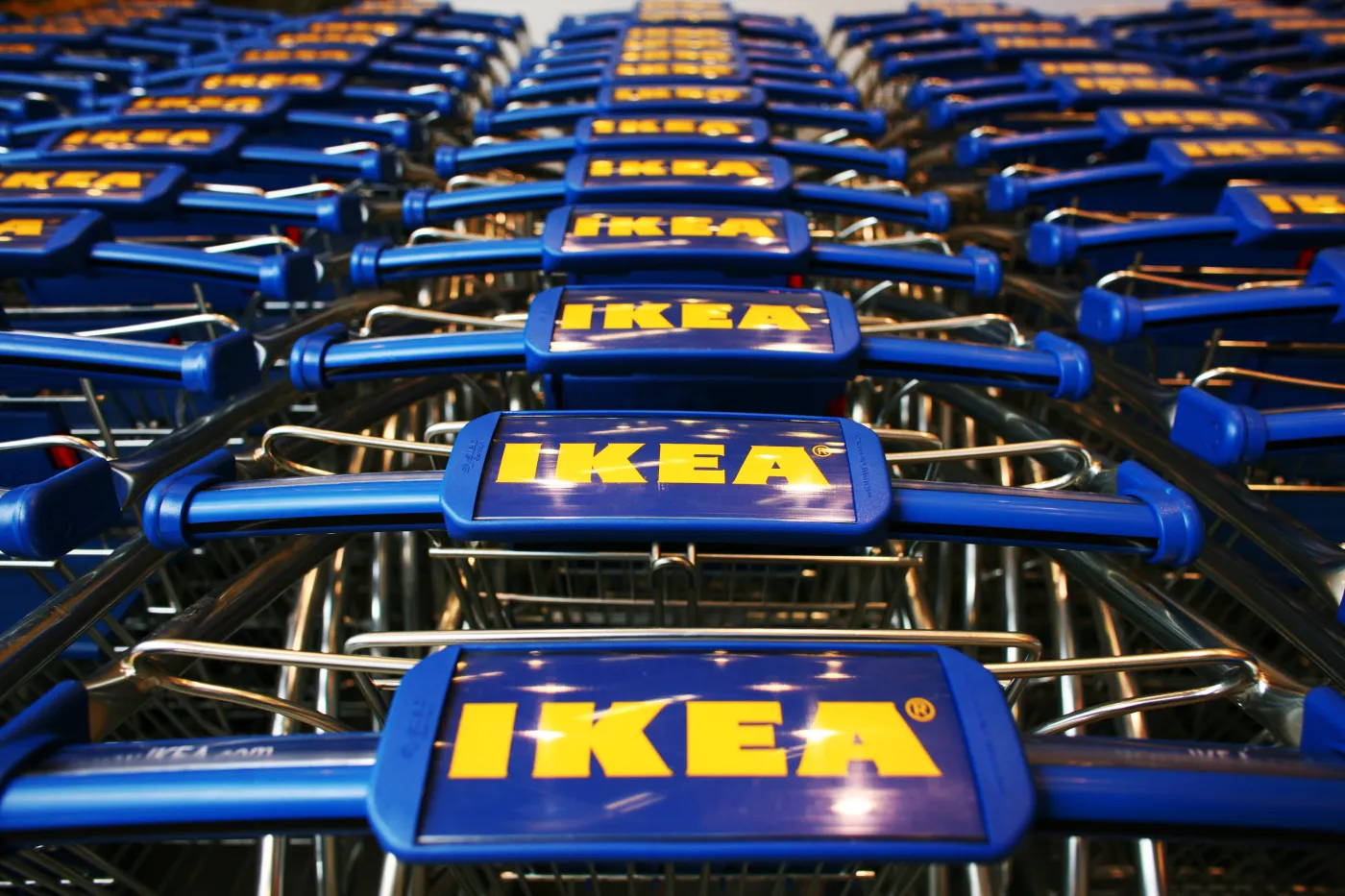 Wiceszef MS o zwolnieniu pracownika sieci IKEA: Skandaliczne działanie, łamanie wolności sumienia