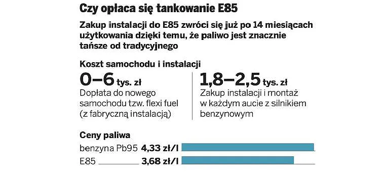 paliwo_281393a_712332.jpg