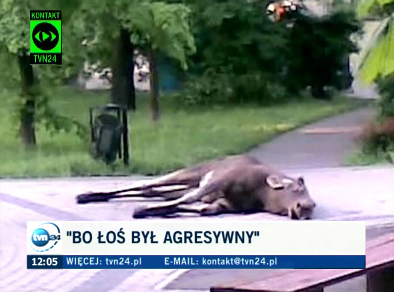 Prokuratura zbada dlaczego zastrzelono Łosia