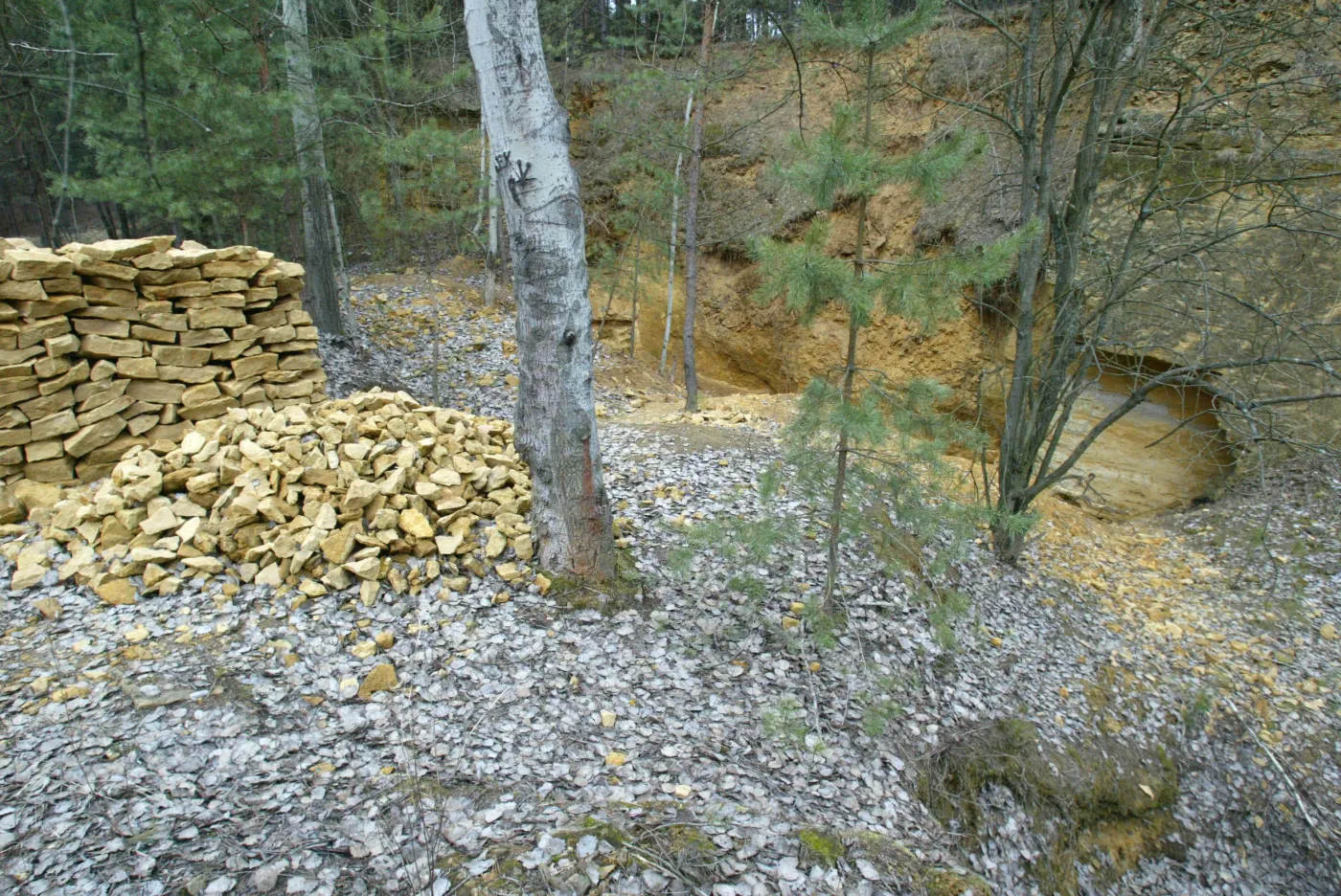 995e0955_58891a_150364.jpg