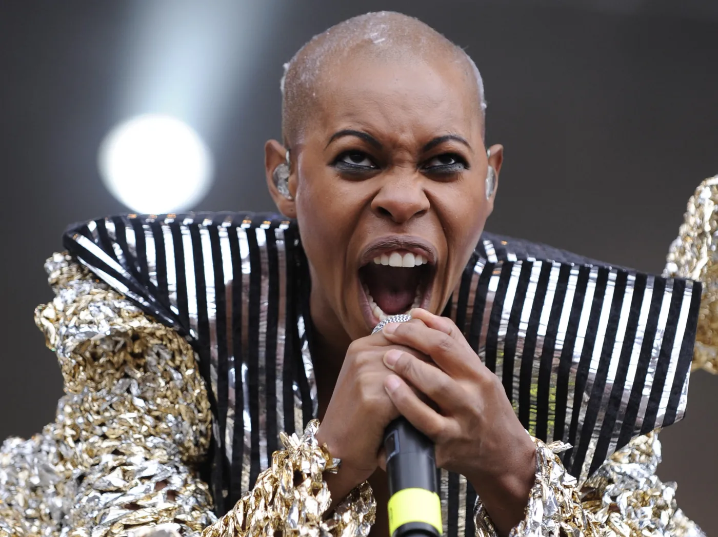 Skunk Anansie zawiesili działalność w 2001 roku. Wrócili dziewięć lat później płytą "Wonderlustre"