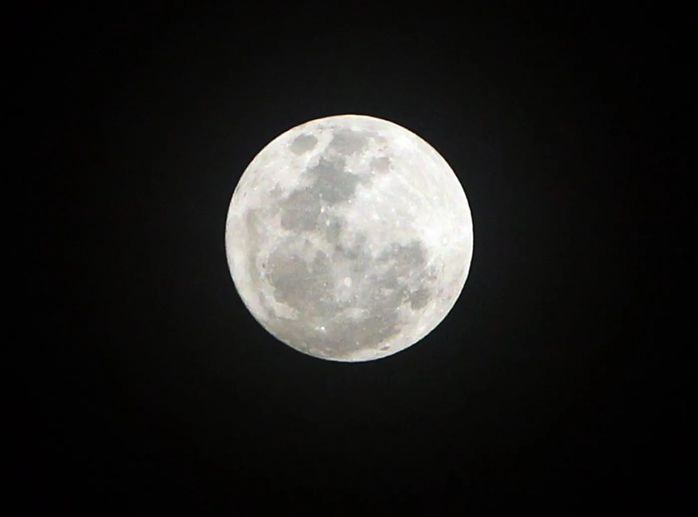1911126-epa02641727.jpg