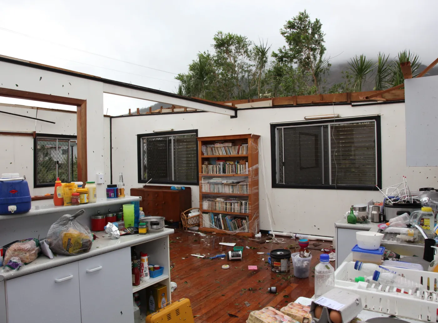 1790927-epa02562230.jpg